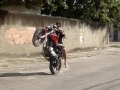 samos ratos samos ruim samos ratos samos ruim