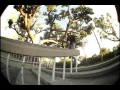 Dakota Roche- Stay Fit