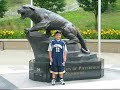 Pitt Basketball Camp 2008 Pitt Basketball Camp 2008