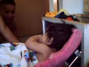 Celestino cracking up