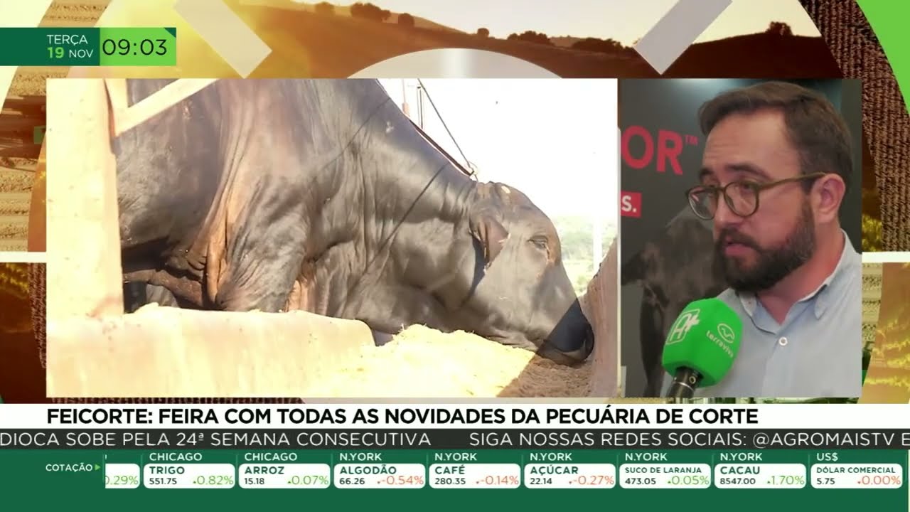 Feicorte: feira com todas as novidades da pecuária de corte