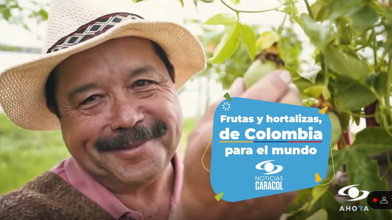 ¡Los frutos de la paz presentes en #ColombiaEnMACFRUT2023🇨🇴🇮🇹!
