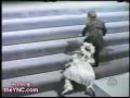 Tortazos en bodas