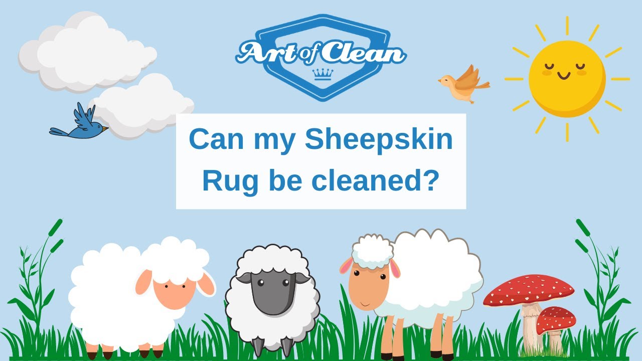 Can my sheepskin rug be cleaned?