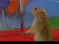 Guinea pig with lightsaber