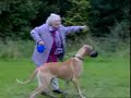 dumb grany dumb grany
