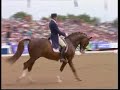 Briar 899, Grand Prix Freestyl, Hickstead 2003