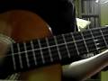 Farin Urlaub Racing Team-Niemals(unplugged cover)