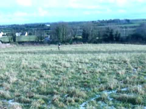 suzuki drz400e yamaha wr450f enduro