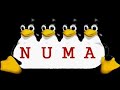BALAN-Sugar Tunes (Numa Numa)