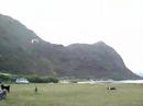 Pete Landing Short at Makapu\