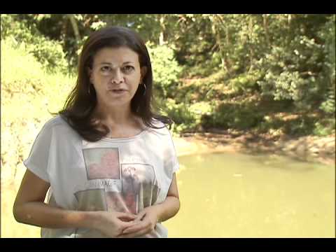 Repórter Eco - 06/05/2012 - Serviços Ambientais