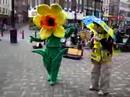 Great Daffodil Appeal 2007