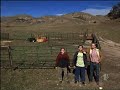 Comodo 3000 - Malcom ITA 4.08 (71) - Una Giornata Al Ranch