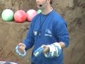 delphin show im zoo duisburg