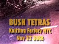 bush tetras   things that go boom in the night