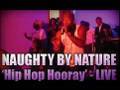Naughty By Nature - Hip Hop Hooray @VIBE 15 Year Anniversary