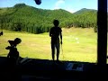 扇の間のタイガーウッズ