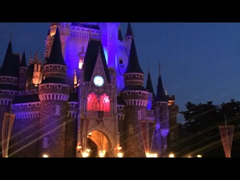 動画