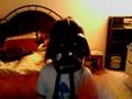 Darth Peanut Butter Jelly Time Vader