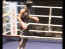 K.O KNOK OUT SERCAN TARHAN