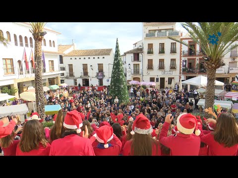 La “Magia de la Navidad” volvió a La Nucía con la IX Feria Solidaria