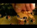 LPS Bad boy