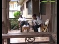 Nollywood Cinema - Treasure Coffin