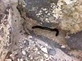 video4.mov Video