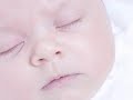 Creation Video