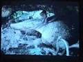 Spots turísticos de Bolivia en TVB.wmv