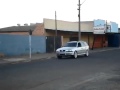 LE CHIEN QUI CONDUIT UNE VOITURE