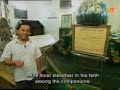 this famous documentary on the life of the prophet muhammad was aired by malaysian tv station [tv3] during the ramadhan. it follows the footsteps of rasullullah s.a.w tracking the places the prophet had visited.