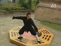 Kung Fu Dragons of Wudang - Baguazhang, 8 Pattern Boxing