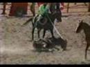 Verizon Wireless sponsors cruel rodeo events.  Ask Verizon to stop sponsoring rodeos:http://www.verizonwireless.com/b2c/contact/index.jsp--------------------------------Cingular Wireless/AT&T supports the cruel treatment of animals in rodeos.  www.attcruelty.comE-mail AT&T and ask them to stop sponsoring rodeos:RM-CERC1@ems.att.com ATT_1MA@att.comrandall.stephenson@att.com icare3@amcustomercare.att-mail.com