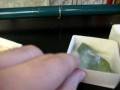 Minerales fluorescentes previo