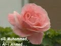 cocuk-ilahileri-bir-ismin-ahmed-efendim.html