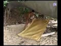 supervivientes-2008-