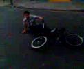 maxi y la willy