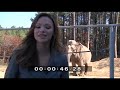 Tarra the Elephant mourns loss of Bella the dog