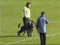 WUSV 2004 Highlights