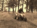Suzuki ltr 450 quadracer Suzuki ltr 450 quadracer