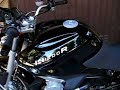 Remus Hexacone Bmw R1200R 2