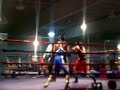 Amateur Boxing -Young gunna