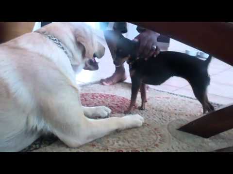 kissing toes