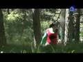 EL FORESTAL