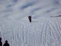 firecat limited edition black widow F7 tailwalk
