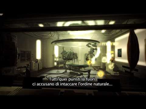 Immagine anteprima YouTube