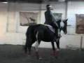 videos de First Video of the New Year!