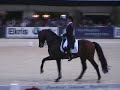 anky van grunsven en Krack C outdoor gelderland